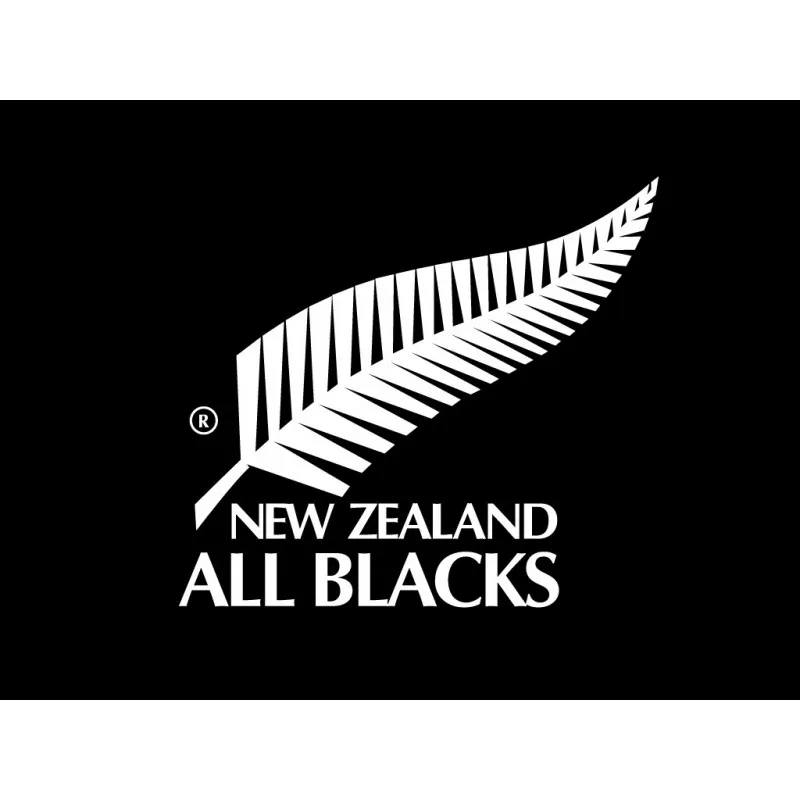 Polo All Blacks rugby / Adidas